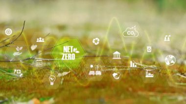 Ağ sıfır emisyon, karbon nötr konsept. Net sıfır sera gazı emisyonları hedef 2050. İklim nötr uzun vadeli strateji 2050 Gree n grass Bokeh arka planında yeşil ağ sıfır simgesi.