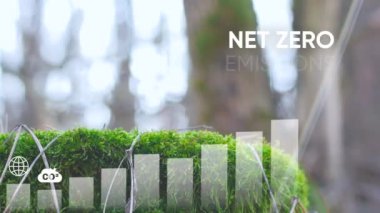 Ağ sıfır emisyon, karbon nötr konsept. Net sıfır sera gazı emisyon hedefi. İklim tarafsız uzun vadeli strateji 2050 ile net sıfır dijital büyüme grafiği ve yeşil doğa arka planı hakkında bilgi. Kurumsal video