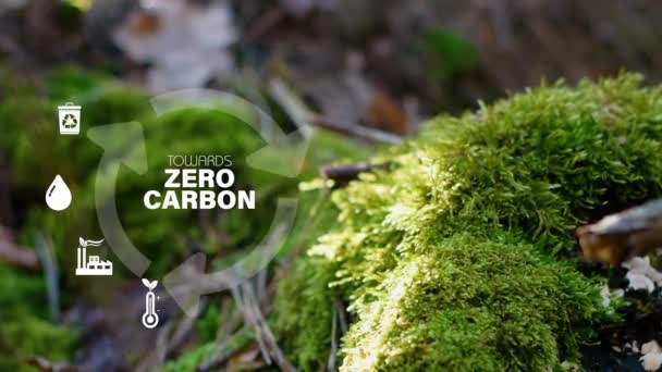 Para Zero Carbono 2050 Net Zero Carbono Neutro Conceito 2050 — Vídeo de Stock