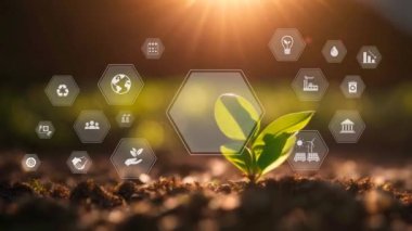 Ağ sıfır emisyon, karbon nötr konsept 2050. Logo yok. Net sıfır sera gazı emisyonları hedef 2050. Yeşil doğa arka planında net sıfır simgesine sahip tarafsız uzun vadeli iklim stratejisi