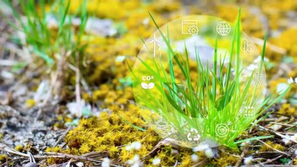 Gelecekteki Büyümesi Çevresel Sürdürülebilirlik Için Dairesel Ekonomi Kavramı Gelecekteki Çevre — Stok video