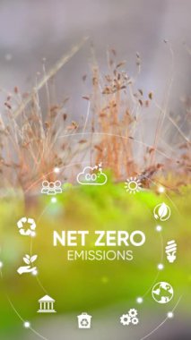 Ağ sıfır emisyon, karbon nötr konsept. Net sıfır sera gazı emisyonları hedef 2050. İklim nötr uzun vadeli stratejisi 2050 ve yeşil doğa arka planı hakkında net sıfır dijital bilgi grafikleri