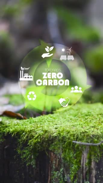Net Zero Carbon Neutral Concept Net Zero Greenhouse Gas Emissions — Stok video