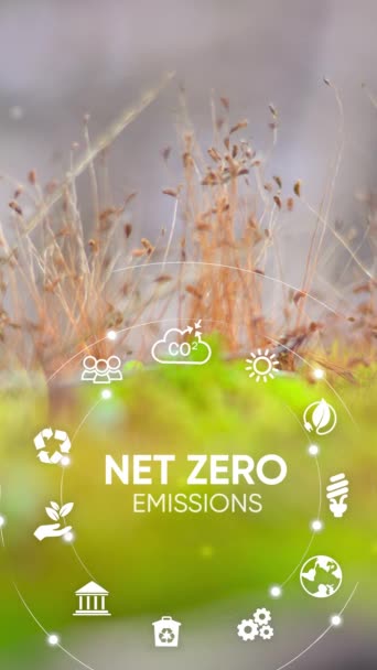 Net Zero Emissions Carbon Neutral Concept Net Zero Greenhouse Gas — Stockvideo