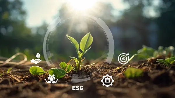 stock image ESG environmental social governance.Young green plant with digital infographics Investment business concept. ESG digital icons. Business investment strategy concept. Place for text