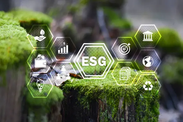ESG Banner Concept. Çevre, Toplum ve Ağ ve Örgütsel Bağlantılarda Sürdürülebilir ve Etik İş Yönetimi, Çözüm Bilgi Sancağı.