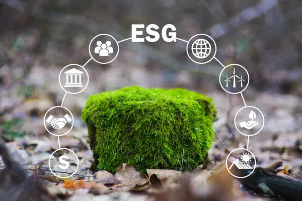 stock image ESG Banner Environment, Society and Corporate Governance The information banner calls to commemorate this company's contributions to environmental and social issues.Place for logo or text.