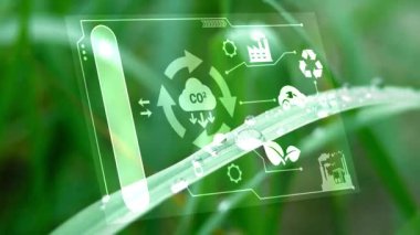 CO2 azalması. Dijital CO2 bilgi paneli. Net sıfır emisyon, 2050, karbon nötr kavram. CO2 azalması. Sıfır sera gazı emisyonu hedefi. Yeşil ağ sıfır ile uzun vadeli iklim stratejisi.