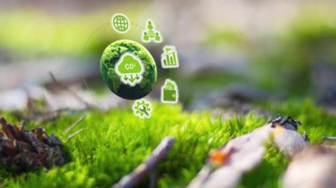 CO2 azalması. Dijital CO2 bilgi paneli. Net sıfır emisyon, 2050, karbon nötr kavram. CO2 azalması. Sıfır sera gazı emisyonu hedefi. İklim tarafsız