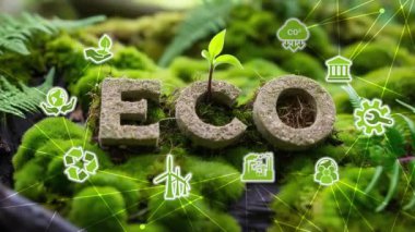 Yeşil Yosun Arkaplanı hakkında ECO Metni. Gelecekteki iş büyümesi ve çevresel sürdürülebilirlik için dairesel ekonomi kavramı ve gelecekteki iş ve çevre kirliliğini azaltma