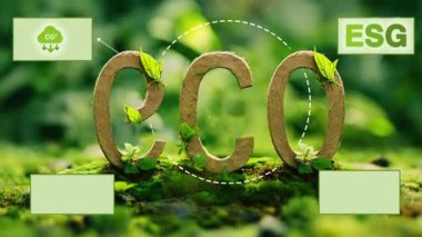 Yeşil Yosun Özgeçmişi üzerine Eko Metin. ESG, Net Zero.CO2 azaldı. Yeşil enerji kavramı. Çevre dostu. Çevre teknolojisi.