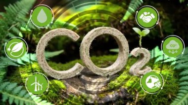 Yeşil Yosun Arkaplanı üzerinde CO2. ESG, Net Zero.CO2 azalması. Yeşil enerji sıfır emisyon karbon karbon CO2 azaltma grafik grafikleri, gelecekte iş ve tasarım büyümesi için dairesel ekonomi yeniden kullanılacak ve yenilenebilir materyal kaynakları yeniden kullanılacak..