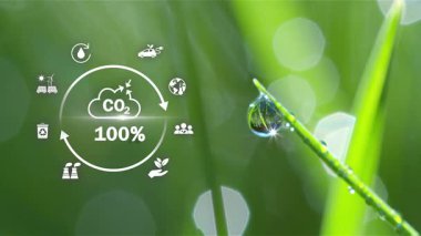  CO2 nötralitesi. Sıfır karbon konsepti. - Sürdürülebilir Büyüme ve Yeşil Enerji