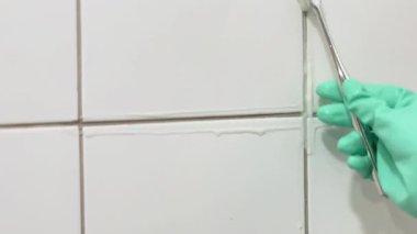  Banyo Temizleme Konsepti. Kiremitleri Kapalı Ovalama 