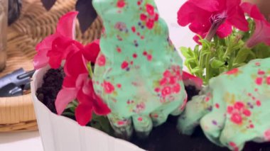 Ev bahçıvanlığı, yeşillik konsepti Eller Kapalı Yerleşim Enerjisi.