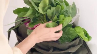  Taze taze sebzeler. Ispanak ve taze soğan.