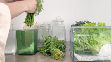 Taze salatalar için Arugula ve Bitkiler Depoluyor.Buzdolabı Organizasyonu.