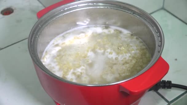 Pasta Och Vatten Kokar Röd Matlagning Pot — Stockvideo