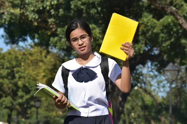 Άτονη Μαθήτρια Έφηβη Μαθήτρια Που Φοράει Γυαλιά Βιβλία — Φωτογραφία Αρχείου