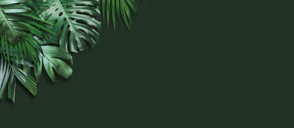 Tropical leaves banner on green background with copy space