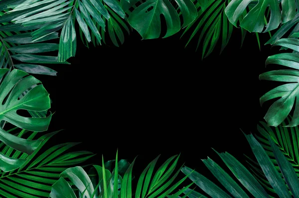 Sommer Tropische Blätter Mit Leerem Papier Auf Weißem Hintergrund — Stockfoto
