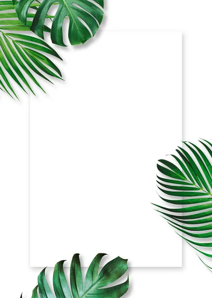 Summer Tropical Leaves White Background Copy Space — Stock Photo, Image