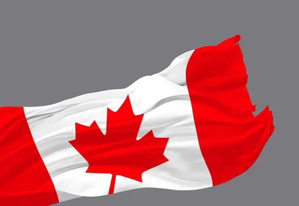 Kanada Flagge Weht Isoliert Wind Auf Grauem Hintergrund Rendering — Stockfoto