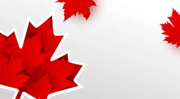 Canada Dag Banner Ontwerp Van Esdoorn Bladeren Witte Achtergrond Met — Stockvector