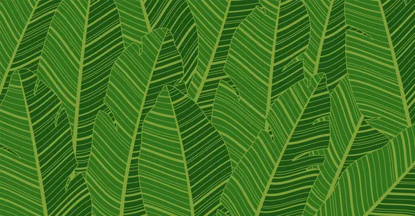 Banana Leaves Background Vector Illustration — Archivo Imágenes Vectoriales
