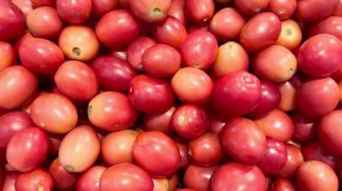 Kırmızı domates yığını 4k Video