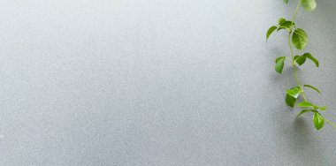 Arkaplanda kopyalama alanı olan yeşil yapraklar