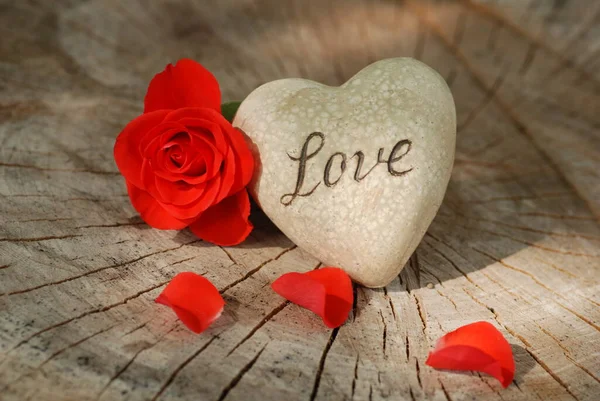 Róża Serce Drewnianej Desce Tło Walentynki Dzień Ślubu Dzień Matki Obrazek Stockowy