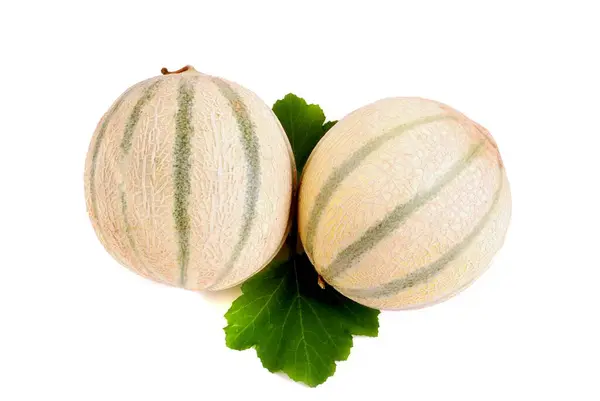 Cantaloupe Meloen Geïsoleerd Wit Vruchten Met Bladeren — Stockfoto