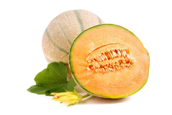 Kantaloupe Melon Isolerad Vitt Frukt Med Blad Stockbild