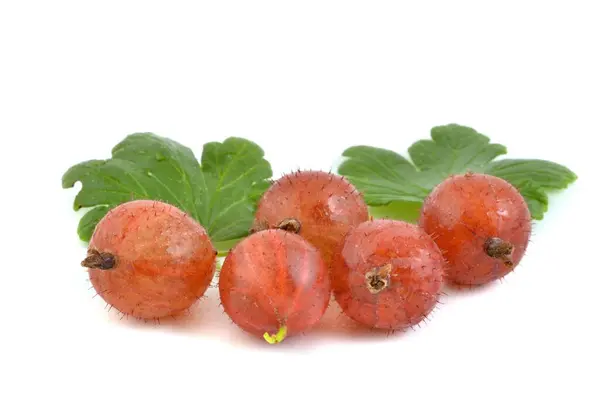 Rijpe Kruisbessen Vruchten Met Bladeren Geïsoleerd Witte Achtergrond Stockfoto