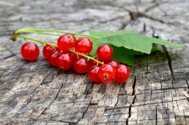 Eski ahşap arka planda yeşil yapraklı kırmızı frenk üzümü.