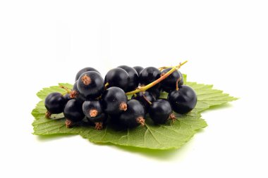 Beyaz arkaplanda yaban mersini var.