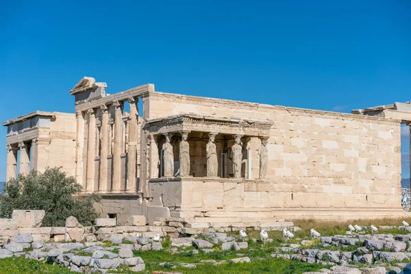 Detalles Erechtheion Athens Greece Acropolis — Foto de Stock