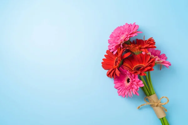 Gerbera Stokrotka Kwiat Bukiet Niebieskim Tle Widok Góry Płaski — Zdjęcie stockowe