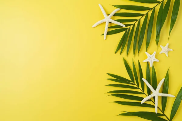 Sommerurlaub Abstrakten Hintergrund Mit Palmenblättern Und Seesternen Draufsicht Von Oben — Stockfoto