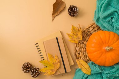 Not defteri, güz yaprakları ve bej arka planda balkabağı içeren sonbahar sezonu konsepti. Üst manzara, düz uzanma