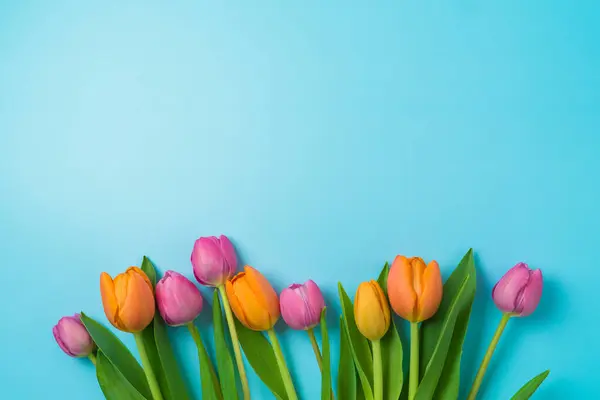 Spring Concept Beautiful Tulip Flower Bouquet Blue Background Top View — Stock Photo, Image
