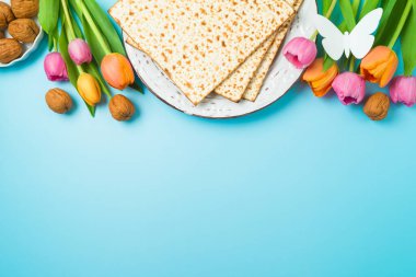 Yahudi bayramı kavramı, matza ve bahar lale çiçekleri ile mavi arka planda. Üst görünüm, düz konum
