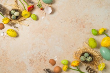 Paskalya bayramı konsepti. Taş zeminde paskalya yumurtaları ve bahar çiçekleri. Üst görünüm, düz konum