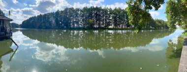 Nehir manzarası. Yaz. Yüksek kalite fotoğraf