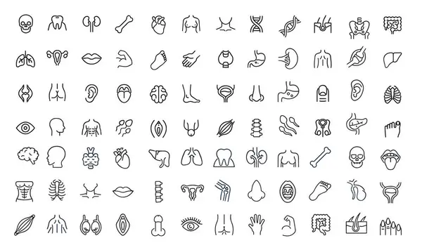 İnsan Vücut ve Organ Simgeleri Koleksiyonu