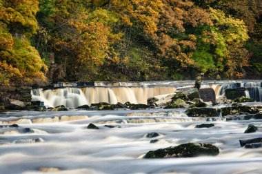 Richmond, Kuzey Yorkshire 'daki şelalenin üzerindeki sonbahar renkleri