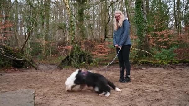 Young Blonde Woman Pulled Old English Sheepdog Puppy Leash Playing — Stock Video