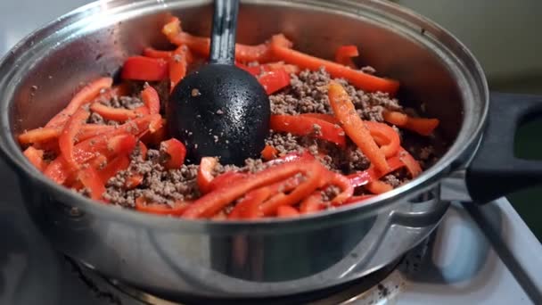 Stir Delicious Meal Large Black Plastic Spoon Resting Sliced Red — Vídeo de stock