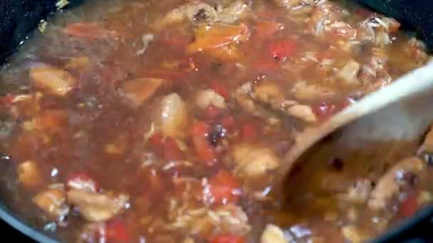 チキンとライスのシチューでいっぱいの熱い鍋を攪拌木製のスプーンのスローモーションのクローズアップ — ストック動画